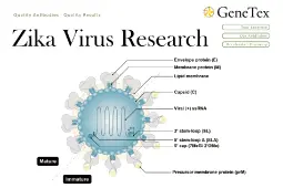 单页-ZikaVirusResearch