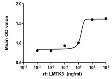 Human LMTK3 protein, His and SUMO tag (active). GTX00071-pro