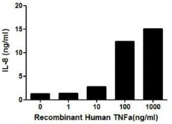 Human TNF alpha protein, His tag (active). GTX00102-pro