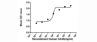 Human GAS6 protein, His tag (active). GTX00106-pro