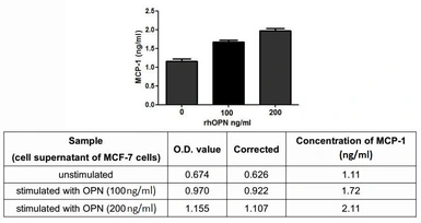 Human Osteopontin protein, His tag (active). GTX00123-pro