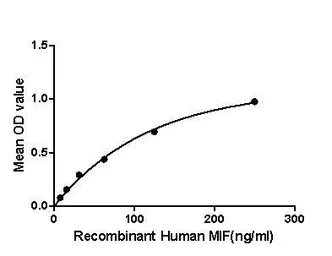 Human MIF protein, His tag (active). GTX00196-pro