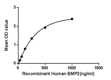 Human BMP2 protein, His and GST tag. GTX00202-pro