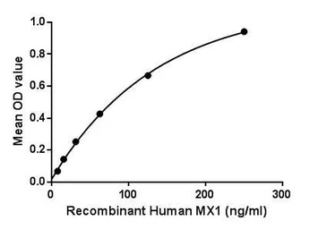 Human MX1 protein, His tag. GTX00244-pro