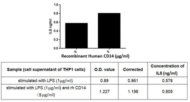 Human CD14 protein, His tag (active). GTX00249-pro
