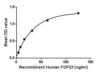 Human FGF23 protein, His tag. GTX00257-pro
