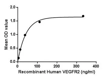 Human VEGF Receptor 2 protein, His tag (active). GTX00258-pro