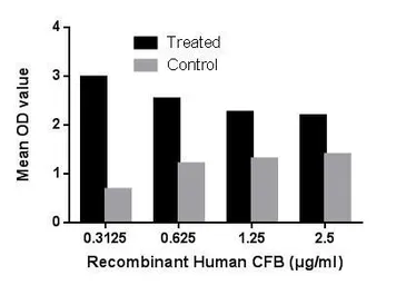 Human Factor B (Ba fragment) protein, His and GST tag (active). GTX00269-pro