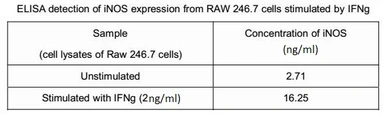 Mouse Interferon gamma protein, His tag (active). GTX00283-pro