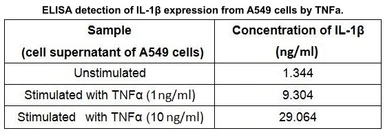 Mouse TNF alpha protein, His tag (active). GTX00287-pro