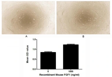 Mouse FGF23 protein, His tag (active). GTX00295-pro