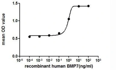 Mouse BMP7 protein, His tag (active). GTX00296-pro