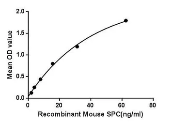Mouse SFTPC protein, His tag. GTX00326-pro