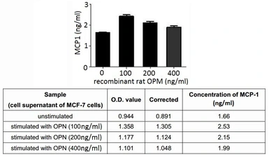 Rat Osteopontin protein, His tag (active). GTX00349-pro