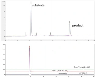 Rat PAM protein, His tag (active). GTX00374-pro