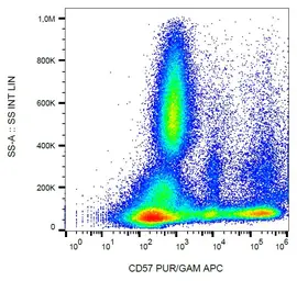 Anti-CD57 antibody [TB01] used in Flow cytometry (FCM). GTX00463
