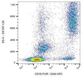 Anti-CD16 antibody [3G8] used in Flow cytometry (FCM). GTX00468