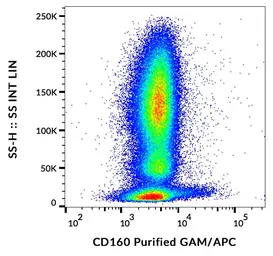 Anti-CD160 antibody [BY55] used in Flow cytometry (FCM). GTX00488