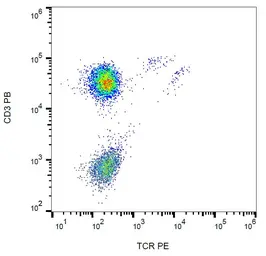 Anti-TCR gamma + delta antibody [B1] (PE) used in Flow cytometry (FCM). GTX00507-08