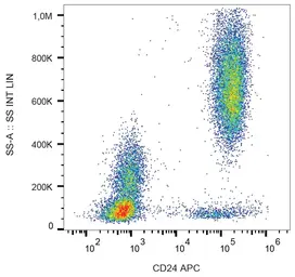 Anti-CD24 antibody [SN3] (APC) used in Flow cytometry (FCM). GTX00597-07