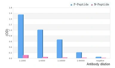 Anti-DARPP-32 (phospho Thr34) antibody used in ELISA (ELISA). GTX00802