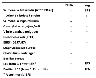 Anti-Salmonella enteritidis LPS antibody [se-1] used in  (). GTX00861