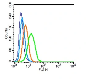 Anti-Integrin alpha V + beta 3 antibody used in Flow cytometry (FCM). GTX01084