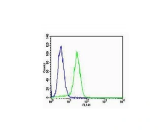 Anti-Integrin alpha V + beta 3 antibody used in Flow cytometry (FCM). GTX01084