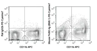 Anti-F4/80 antibody [BM8.1] (PE-Cy7) used in Flow cytometry (FCM). GTX01470-10