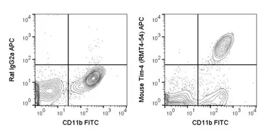 Anti-TIM-4 antibody [RMT4-54] (APC) used in Flow cytometry (FCM). GTX01497-07