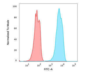 Anti-FOXA1 antibody [FOXA1/2230R] used in Flow cytometry (FCM). GTX02640