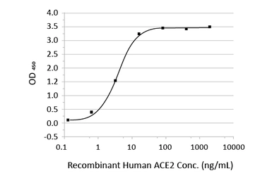 SARS-CoV-2 (COVID-19) Spike (ECD) Protein, His tag (active). GTX02774-pro