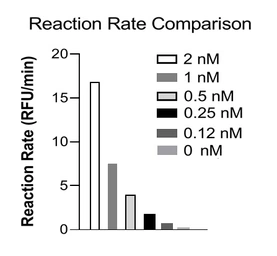 Human Autotaxin (mature) protein, His tag (active). GTX02798-pro