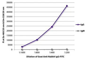 Goat Anti-Rabbit IgG antibody, pre-adsorbed (FITC). GTX03116