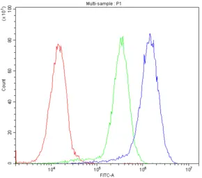 Anti-BMP5 antibody used in Flow cytometry (FCM). GTX03273