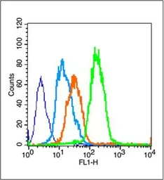 Anti-PPAR gamma antibody used in Flow cytometry (FCM). GTX03364