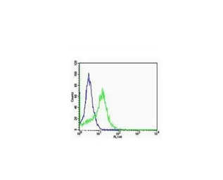 Anti-Integrin alpha V + beta 5 antibody used in Flow cytometry (FCM). GTX03382