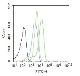 Anti-TGF beta antibody used in Flow cytometry (FCM). GTX03464
