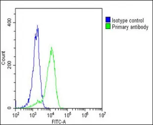 Anti-ENTPD2 antibody used in Flow cytometry (FCM). GTX03639