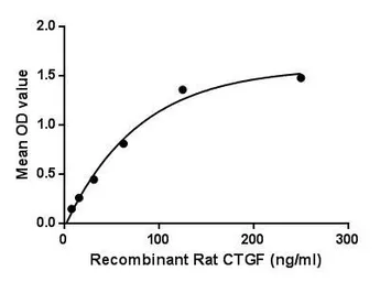 Rat CTGF protein, His and GST tag (active). GTX03797-pro