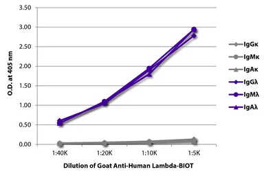Goat Anti-Human lambda light chain antibody, pre-adsorbed (Biotin). GTX04133-02