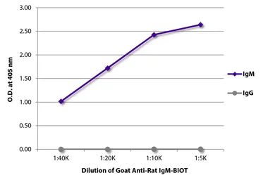 Goat Anti-Rat IgM (Mu chain) antibody, pre-adsorbed (Biotin). GTX04137-02