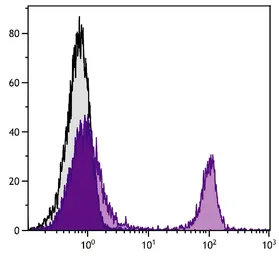 Mouse Anti-Rat IgG2b antibody [2B10A8] (PE). GTX04141-08