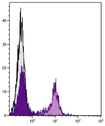 Mouse Anti-Rat kappa light chain antibody [K4F5] (Biotin). GTX04145-02