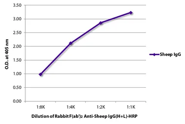 Rabbit Anti-Sheep IgG antibody, F(ab')2 fragment, pre-adsorbed (HRP). GTX04156-01