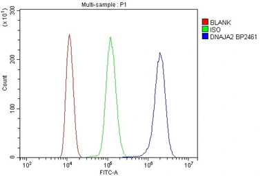 Anti-DNAJA2 antibody used in Flow cytometry (FCM). GTX04359