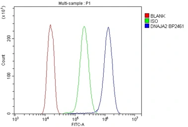 Anti-DNAJA2 antibody used in Flow cytometry (FCM). GTX04359