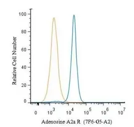 Anti-Adenosine A2a Receptor antibody [7F6-G5-A2] used in Flow cytometry (FCM). GTX04561