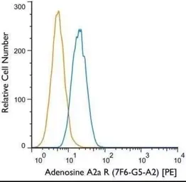 Anti-Adenosine A2a Receptor antibody [7F6-G5-A2] used in Flow cytometry (FCM). GTX04561