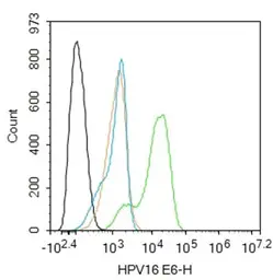 Anti-Human Papillomavirus type 16 E6 antibody used in Flow cytometry (FCM). GTX04630